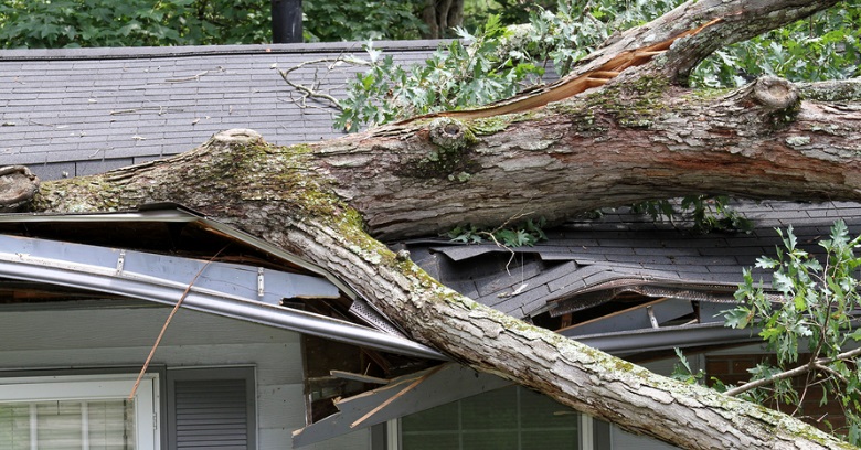 Roofers Huntsville Tree through roof